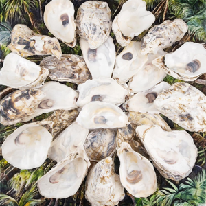 4 \ "-5 \" vỏ sò thô tự nhiên 30 chiếc vỏ sò nhỏ số lượng lớn cho hàng thủ công mỹ nghệ tự làm đồ trang trí Giáng sinh kỹ thuật loại thô - Product Image 3