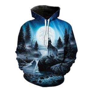 Sweat-shirt à capuche imprimé en 3D pour hommes et femmes, motif personnalisé, anime, crâne de loup, équipe sportive, décontracté - Product Image 5