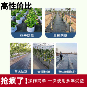 Chengye Weed Barrier Fabric 100x200cm Black Woven Garden Cover <b>For</b> Agricultural Planting And Orchard Use - Product Image 4