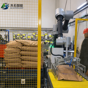 Máquina Paletizadora Robótica Automática Controlada por PLC Eléctrico para Paletización <span class=keywords><strong>de</strong></span> Cajas - Product Image 5