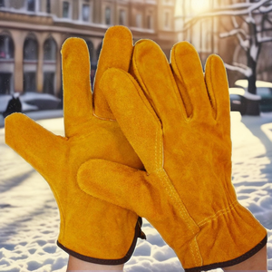 Wholesale Winter Casual Polyester/Cotton/Metallic <b>Touchscreen</b> <b>Gloves</b> Women Fashionable Simple Plain Outdoor Ski Sports Direct - Product Image 2