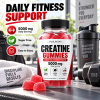 Gummies de créatine monohydrate en marque blanche 5000mg sans sucre, supplément nutritionnel sportif, fabricant OEM ODM