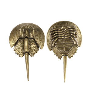 Artesanía de Metal antiguo, adornos de latón de tortuga de concha blanda China Antigua, Vida Marina antigua fundida en tema Animal - Product Image 1