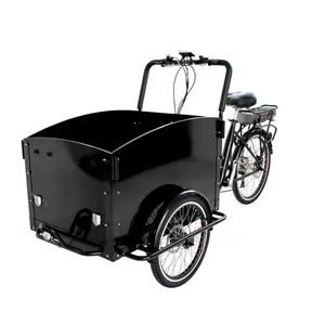 Ladcykel Cargo Bike สำหรับเด็ก,Pedelec Lasten Triciclo