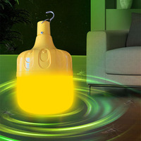 Lampe Solaire Anti-Moustiques Multifonctionnelle Portable, Rechargeable, Efficace Contre les Mouches et Autres Insectes