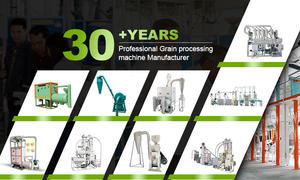 Máquina de bonificación de 100 USD Atta Chakki para molinillo de harina de arroz casero - Product Image 6