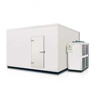 Chambre Froide Mobile et Refroidisseur de Réfrigération Commercial à Haute Efficacité avec Moteur et Commande PLC pour une Opération Facile - Product Image 1