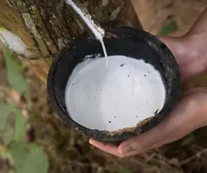 TSR-fabricante de maquinaria de proceso de bloques de goma, taza Natural, goma