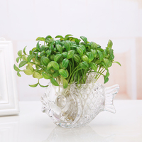 Youpin Aeofa — Vase en verre Transparent pour plante de Terrarium hydroponique, Pot de fleurs pour Table, décoration de maison, en forme de poisson