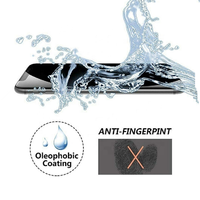 Protection d'Écran Anti-Espion en Verre Trempé à Colle Intégrale pour iPhone 16 15 14 Pro Max 13 12 11 Xs Xr 7 8 Plus