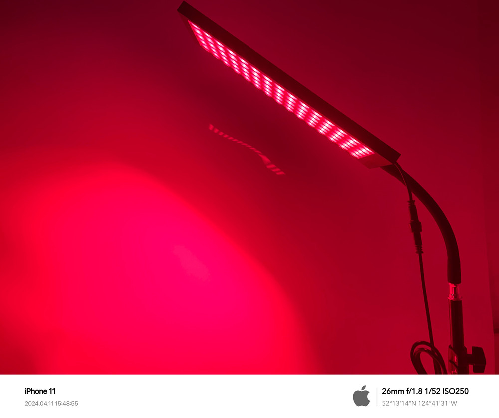 ORANGLES Factory Wholesale Infrared Red Light Therapy Device | Professional Health Care Lamp for Anti-Aging & Beauty | Body Therapy Bracket Light – orangles Kuwait - high resolution display - exposing craftsmanship - Image 2 of 5 | built for everyone | Factory Wholesale Infrared Red Light Therapy Device | Professional Health Care Lamp for Anti-Aging & Beauty | Body Therapy Bracket Light – orangles Kuwait for sale Georgia | Free Shipping ORANGLES