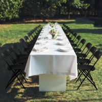 Chaise pliante en plastique à dos plat de jardin extérieur léger pour l'événement de célébration de Camping de noce