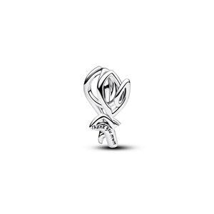 Perles en argent sterling 925, nouvelles perles amusantes pour animaux <span class=keywords><strong>de</strong></span> compagnie, accessoires <span class=keywords><strong>de</strong></span> fabrication <span class=keywords><strong>de</strong></span> bijoux exquis pour enfants, cadeau - Product Image 6
