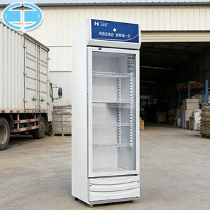En stock : Réfrigérateur commercial vertical 288L à porte unique pour boissons, idéal pour bar à glace, bières Red Bull et autres boissons. - Product Image 1