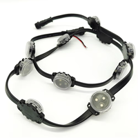 Lampes LED à points RGB PVC SMD3535 12V 30mm IP67 pour aménagement paysager et parcs d'attractions