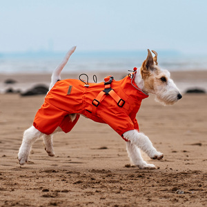 Designer Pet Clothes Suppliers Stripe Waterproof Fashion Reflective <strong>Cat</strong> Rain Coat Jacket Reflective Adjustable Dog <strong>Raincoat</strong> - Product Image 1