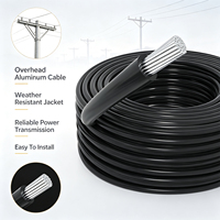 Cable Aéreo de Aluminio Aislado con PVC Resistente a la Intemperie para Línea de Distribución de Energía Eléctrica