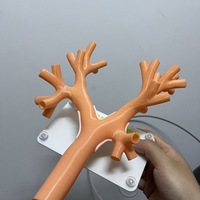 Modelo de Práctica de Endoscopia Flexible Personalizado, Color Carne, Simulación 3D de Modelo Bronquial Flexible