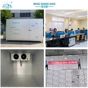 Équipement entier d'entreposage au froid Machines industrielles d'entreposage au froid de prix de chambre froide de 500 tonnes Entreposage au froid pour la nourriture de vegerables - Product Image 6