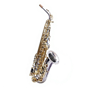 <span class=keywords><strong>Saxophone</strong></span> alto oriental professionnel de haute qualité, instrument de musique avec prix - Product Image 1