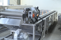 Continue bubbelwasmachine voor groenten en fruit, multifunctionele verwerkingsapparatuur