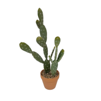 Cactus artificiel en plastique en pot, Bonsaï, plantes tropicales du désert pour la maison et le salon, vert, taille 17-18 pouces