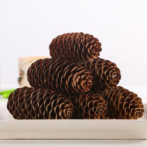 Adornos para árboles de Navidad de cono de pino grande, suministros de decoración de flores secas de estilo clásico, materiales artesanales duraderos DIY - Product Image 2