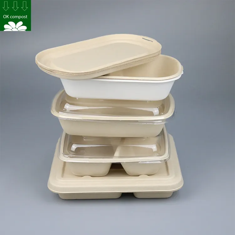 Contenedor de pulpa de bagazo de caña de azúcar desechable Biodegradable personalizado, caja de comida para microondas Bento, embalaje de almuerzo para llevar