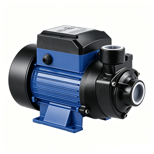 <span class=keywords><strong>Pompe</strong></span> à <span class=keywords><strong>eau</strong></span> auto-amorçante à vortex pour pipeline photovoltaïque DC12, haute puissance, haut débit, modèle BDQB - Product Image 1