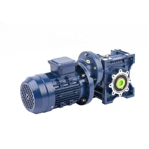 Variable high worm speed reducer gearbox with motor