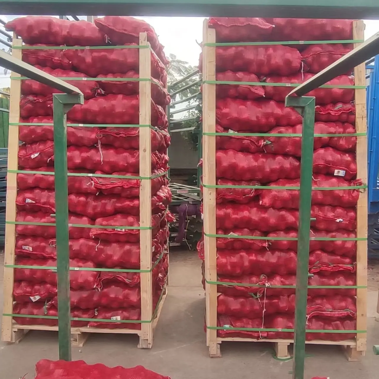 China Fresh Red Onions 20KG/25KG Export Malaysia/Singapore/Indonesia/Philippines/Thailand