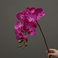 H-1078 Orchidée Phalaenopsis Artificielle Haut de Gamme 100cm, Toucher Réel, Latex Hydratant, Fleur Décorative