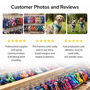 Manufacturers Oem Personalized Custom Adjustable <b>Harness</b> Small for Small Medium Large Dogs No Pull Step in Dog <b>Harness</b> - Product Image 4