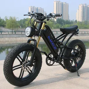 New Aluminum Alloy 20 Inch Wheel 750W Motor 48V Battery Full Suspension Fat Tire Electric Mountain Motorcycle Adult E Dirt Bike