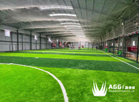 Gazon artificiel intérieur en plastique écologique non remplissable pour terrain de football, installation facile, qualité professionnelle