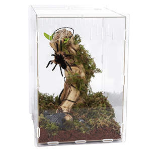 Sürüngen yetiştirme kutusu böcek Tarantulas Amphibians tırtıllar için teraryum kafes salyangoz şeffaf akrilik sürüngen besleme kutusu - Product Image 5