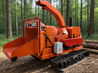 Broyeur de bois à chenilles auto-alimenté, déchiqueteur horizontal pour palmiers, broyeur de bois à succès