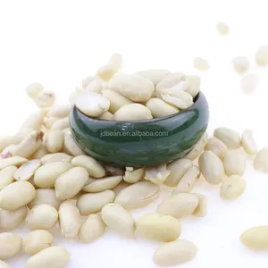Organic Peanut Kernel Wholesale Peanuts Blanched