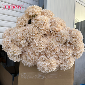 CM-TH623 Flor Artificial de Buena Calidad, Hortensia Blanca Individual al por Mayor para Floristerí<span class=keywords><strong>a</strong></span> - Product Image 3