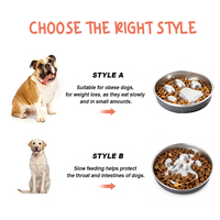 Bol pour chien à alimentation lente en acier inoxydable 304 sans BPA, design mignon 2026, 32 oz, deux choix, aide à perdre du poids