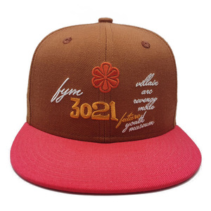 Sombrero de hip-hop completamente cerrado personalizado estilo americano calle 3D bordado sombrero plano cabeza grande 100% algodón común Unisex cuatro estaciones duro - Product Image 5