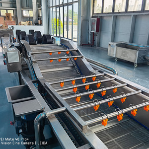 Tự động bong bóng sạch máy giặt lớn rau máy giặt cam máy giặt - Product Image 1