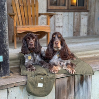 Niedliche Elegante Cord-Hundematte mit Rutschfester Silikonunterseite Faltbare Tragbare Wasserdichte Matte für Outdoor Park Café Haustier-Reisematte