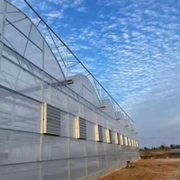 Serre de jardin 1000m² Grande serre multi-chapelles en acier galvanisé avec kits de couverture en film PVC et PE - Fabricant Jiangsu