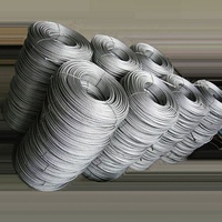 Unverzinktes Nantog 6x37 Edelstahl drahtseil 3 Tonnen 10 Tom 20mm 22mm 25mm Ss Drahtseil 1,5mm 7x19 Ss316 Kabel für Aufzug