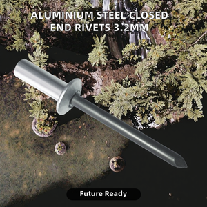 Водонепроницаемые закрытые заклепки GB12615, диаметр <span class=keywords><strong>3</strong></span>,2 мм (1/8 дюйма), заклепки POP из оцинкованной стали 4,8 мм, герметичные - Product Image 4