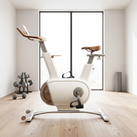 Vélo de spinning à volant d'inertie de haute qualité, version à base monobloc, siège réglable pour usage intérieur, volant d'inertie de 5 kg