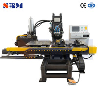 Línea de Perforación y Punzonado de Chapa de Acero CNC de Excelente Eficiencia HP152