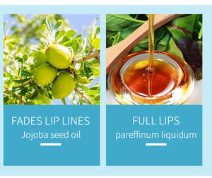 Offre Spéciale Plump Lip Oil Shimmer Mirror Vegan Lip <span class=keywords><strong>Gloss</strong></span> Long Lasting Hydratant Repulpant Lipstick Hydratant Lip <span class=keywords><strong>Gloss</strong></span> - Product Image 5