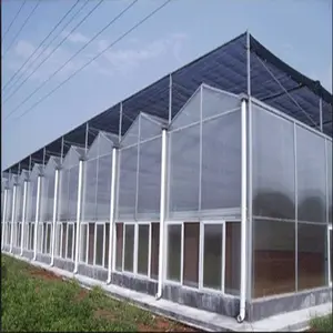 Agricultura Greenhouse Polycarbonate Sheet Greenhouse 10Mm Polycarbonate Greenhouse For Sale